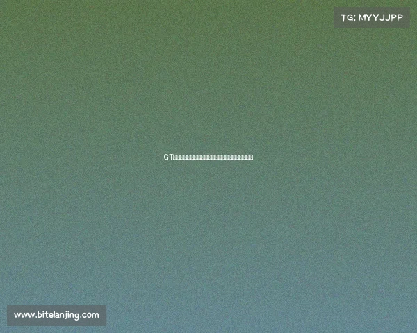 GT赛事强者争霸全面解析谁是最强车队与车手终极对决