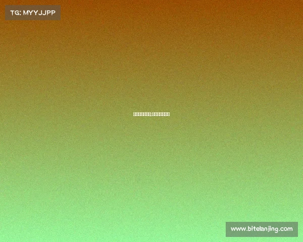 比利时赛事数据;比利时比赛记录