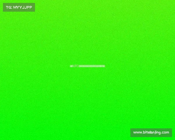 最新UFC赛事高清完整录像全集免费下载资源大全